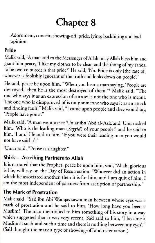 A Madinan View on the Sunnah, Courtesy, Wisdom, Battles and History - Image 10