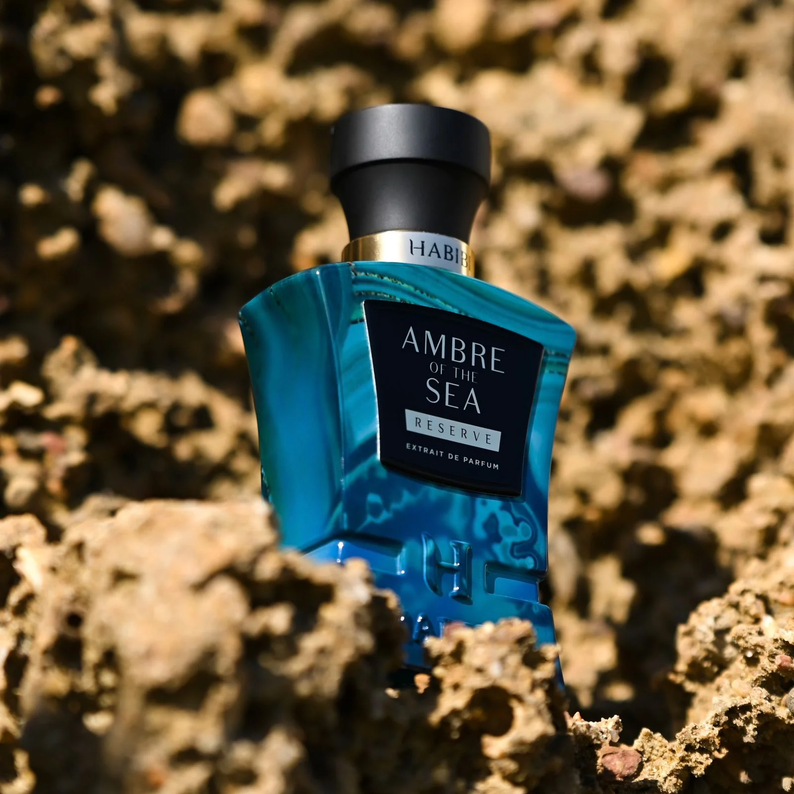 Ambre of the Sea - Image 6