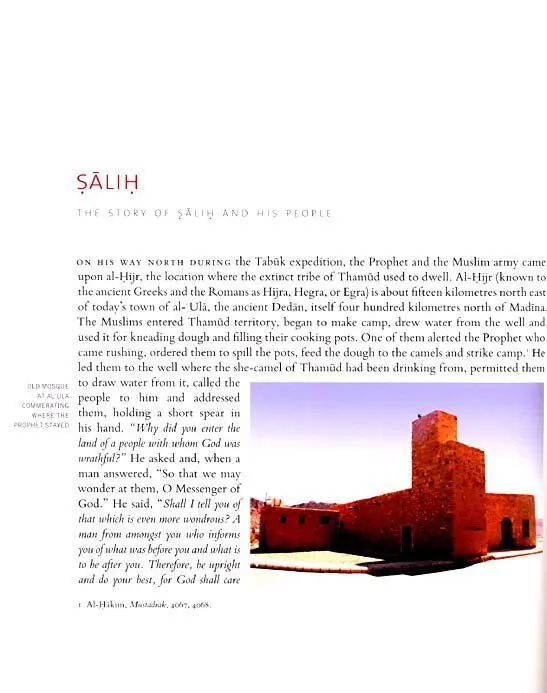 Ancient Prophets of Arabia - Image 10