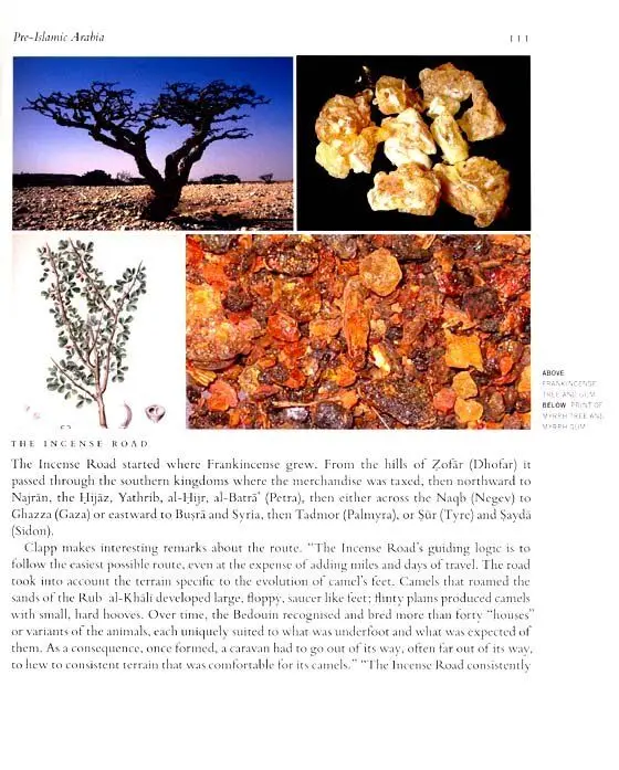 Ancient Prophets of Arabia - Image 11