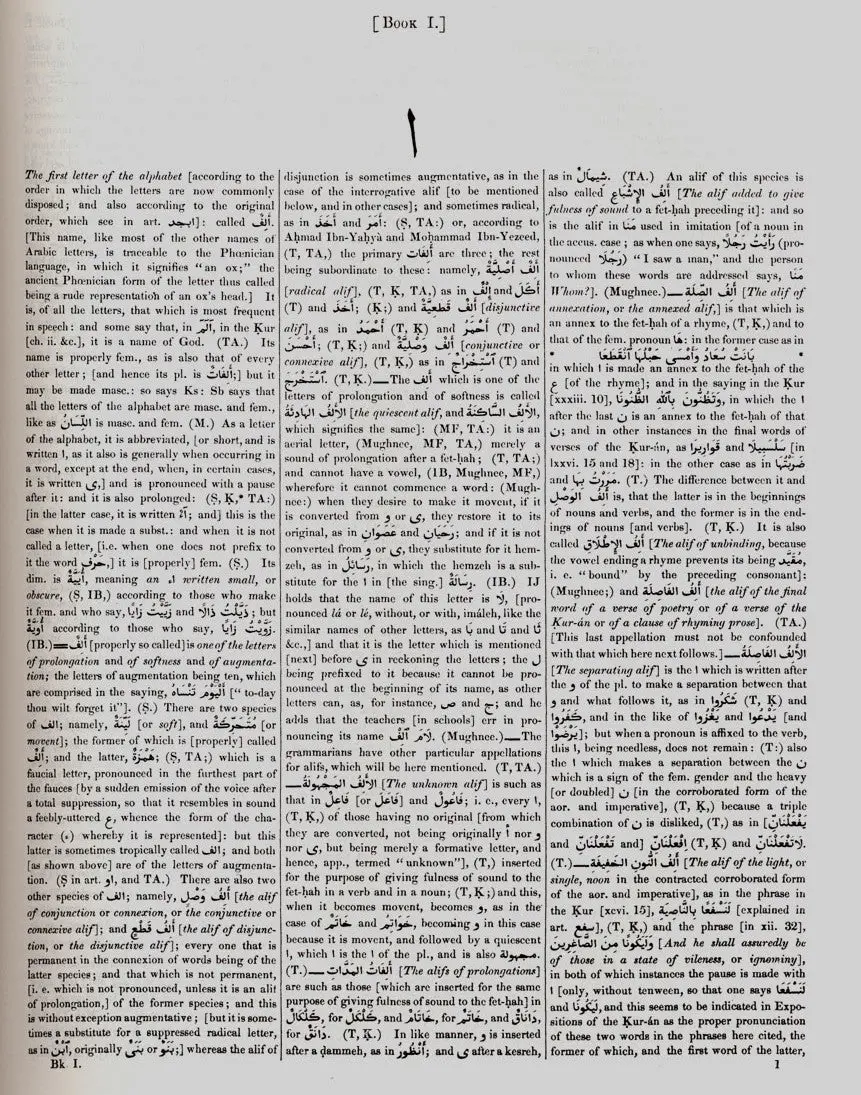 Arabic-English Lexicon: 2 Volumes Set By E. W. Lane - Image 3