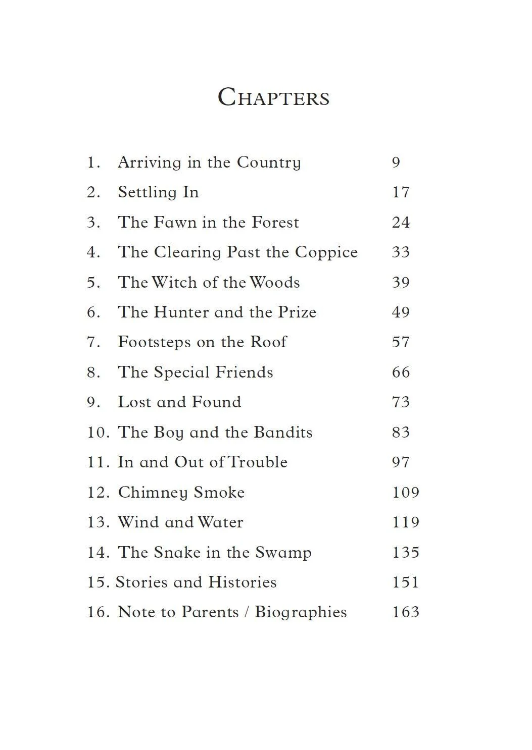 Beyond the Forest, Adventures with the Awliya Book 1 - Image 3