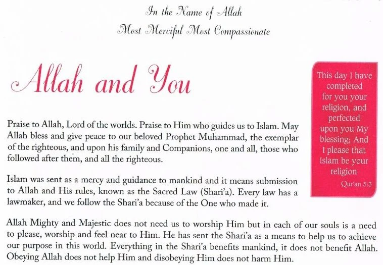 Coming Of Age: A Muslim Girl’s Guide - Image 4