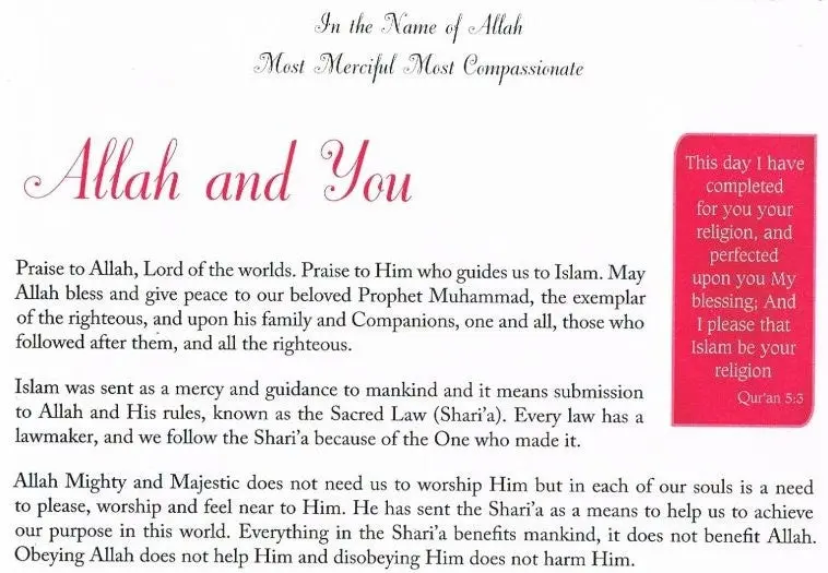 Coming Of Age: A Muslim Girl’s Guide - Image 4