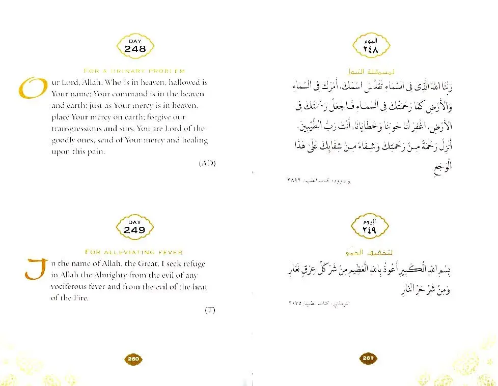Daily Wisdom : Islamic Prayers and Supplications - Image 7