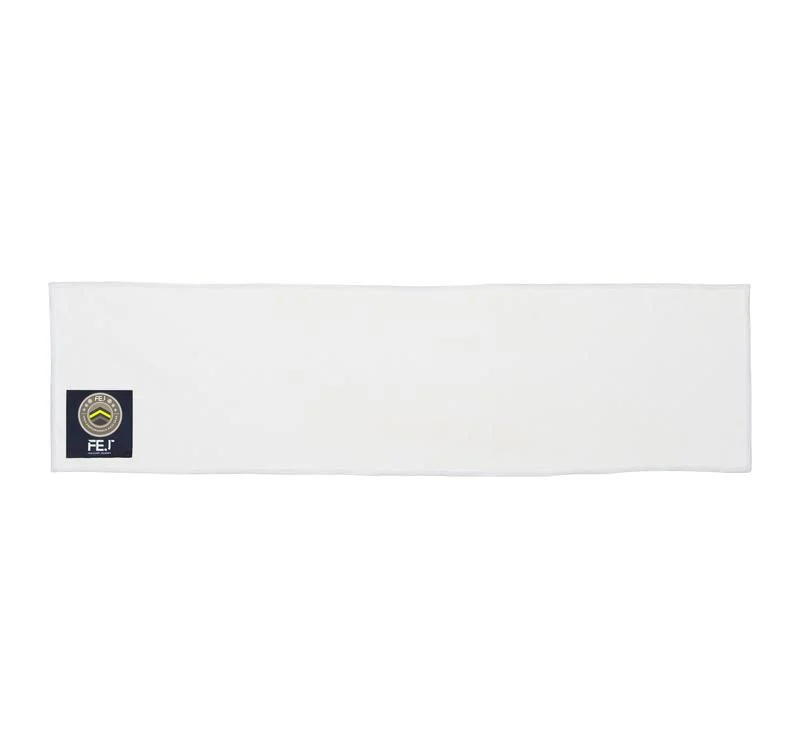 FEJ Gear: Cooling Towel - Image 2