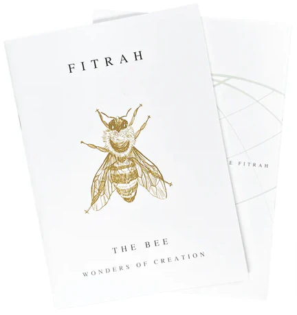 Fitrah The Bee - Wonders Of Creation (Candle) - Image 4