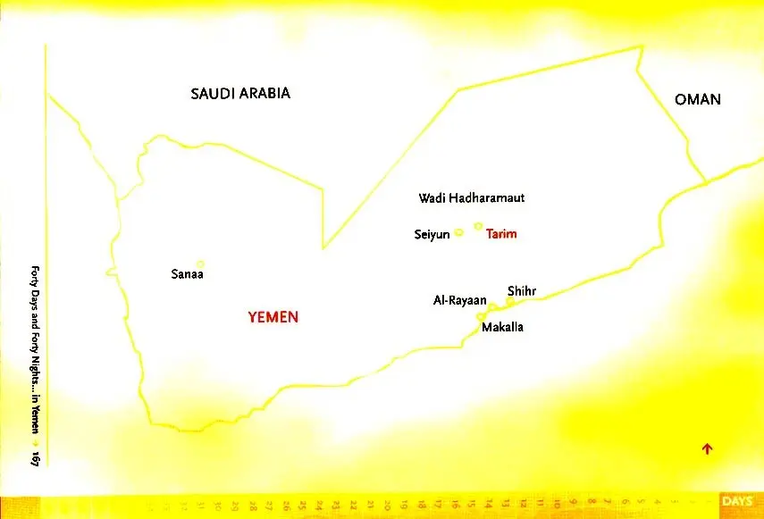 Forty Days and Forty Nights  in Yemen: A Journey to Tarim, the City of Light - Image 12