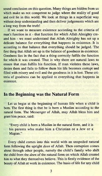 Good and Evil - Image 5