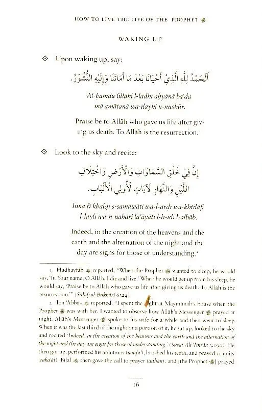 How To Live The Life Of The Prophet - Image 3
