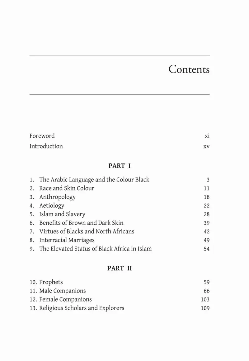 Illuminating the Darkness: Blacks and North Africans in Islam - Image 3