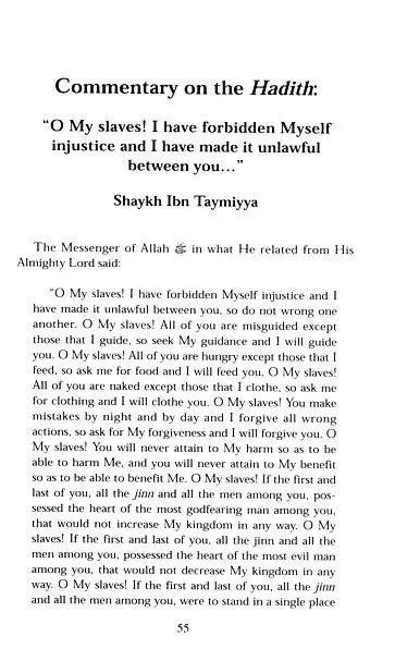 Injustice and the Unjust - Image 6