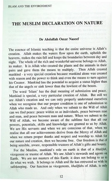 Islam and the Environment - Image 3