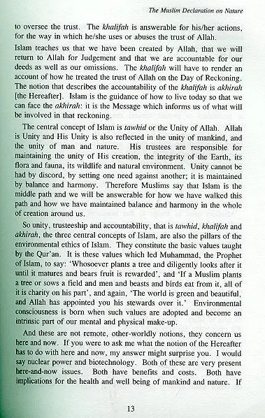 Islam and the Environment - Image 4