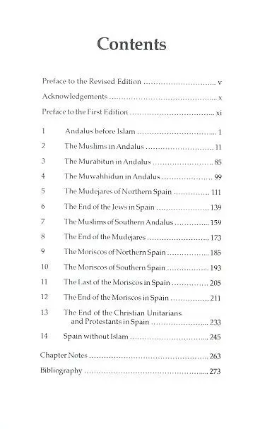 Islam in Andalus - Image 3