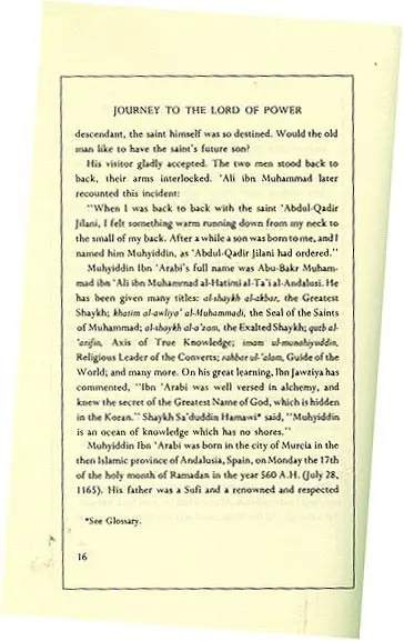 Journey to the Lord of Power: A Sufi Manual on Retreat - Image 5