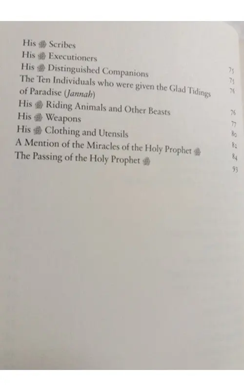 Nur Al 'Uyun Fi Talkhis Sirat al-Amin al-Ma'mun (S) - Light of the Eyes: A Concise Seerah - Image 3