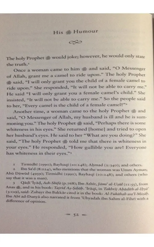 Nur Al 'Uyun Fi Talkhis Sirat al-Amin al-Ma'mun (S) - Light of the Eyes: A Concise Seerah - Image 5