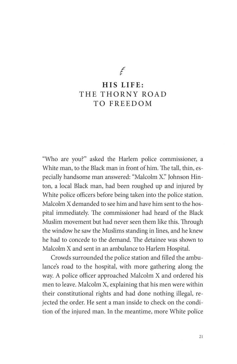 Malcolm X: The Struggle for Human Rights - Image 4