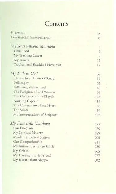 Me and Rumi: The Autobiography of Shams-I Tabrizi - Image 3