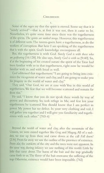 Me and Rumi: The Autobiography of Shams-I Tabrizi - Image 5