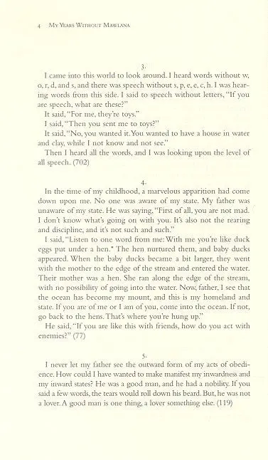 Me and Rumi: The Autobiography of Shams-I Tabrizi - Image 6