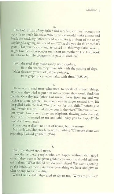 Me and Rumi: The Autobiography of Shams-I Tabrizi - Image 7