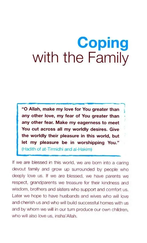 Muslim Teenagers Coping: With Parents, Family, Life, the Universe and Everything - Image 7