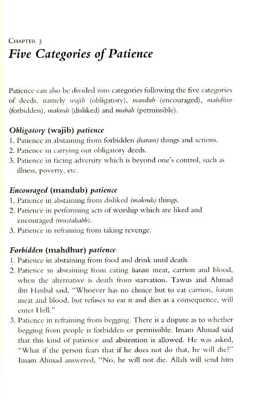 Patience and Gratitude - Image 7