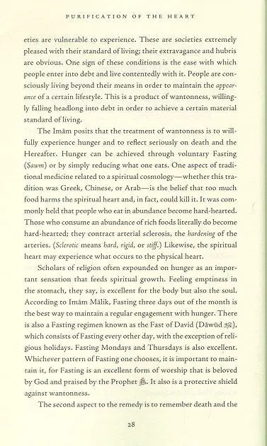 Purification of the Heart: Signs, Symptoms and Cures of the Spiritual Diseases of the Heart - Image 4