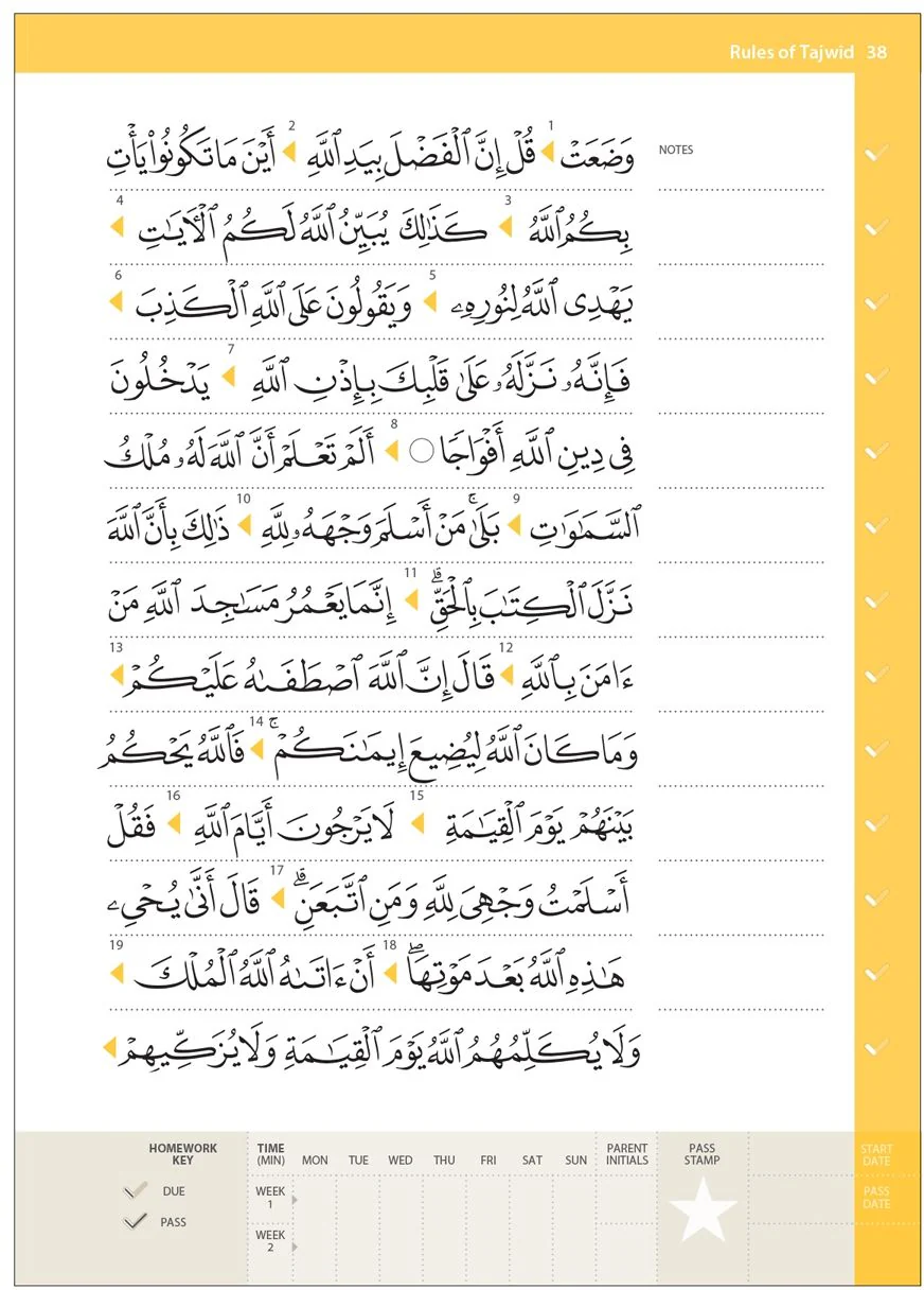 Rules of Tajwid (Madinah Script) – Safar Learn to Read Series - Image 12