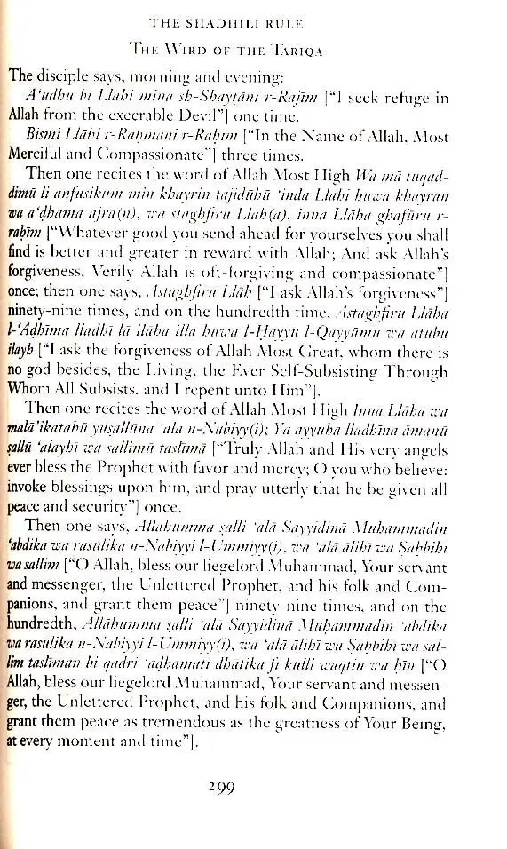 Sea Without Shore: A Manual of the Sufi Path - Image 8