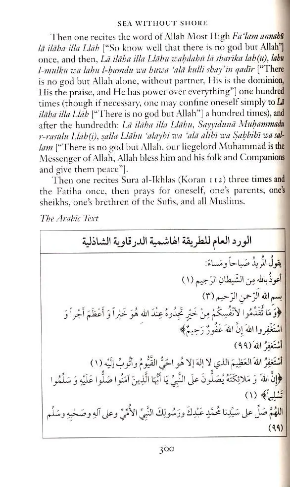 Sea Without Shore: A Manual of the Sufi Path - Image 9