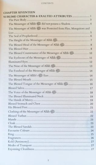 Sirat Al-Mustafa: the Life of the Chosen One (Vol 1 & 2) - Image 4