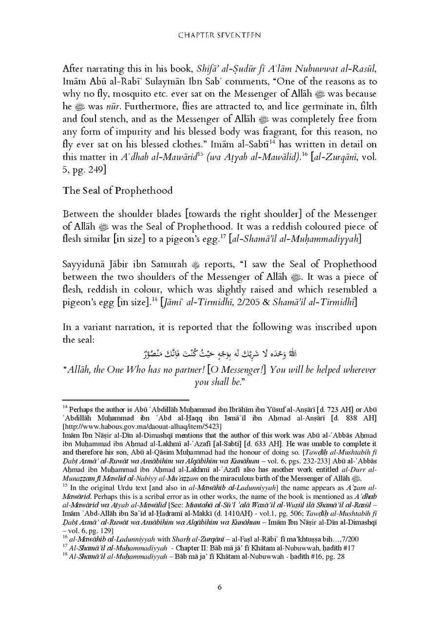 Sirat Al-Mustafa: the Life of the Chosen One (Vol 1 & 2) - Image 8