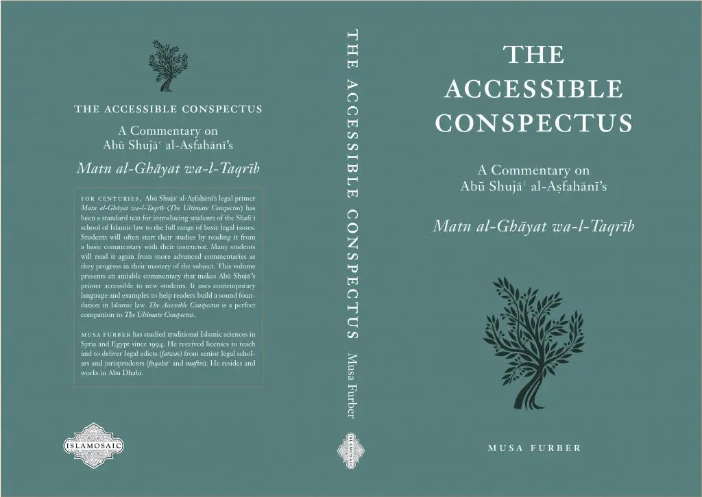 The Accessible Conspectus - Image 3