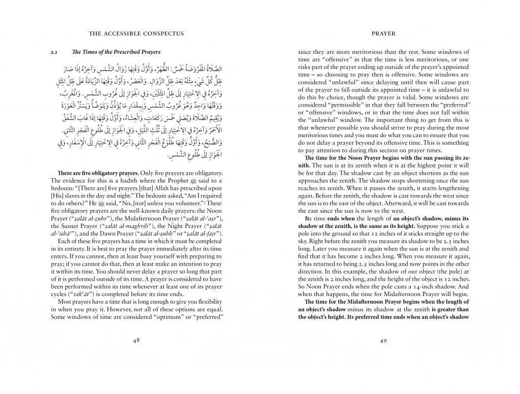 The Accessible Conspectus - Image 5