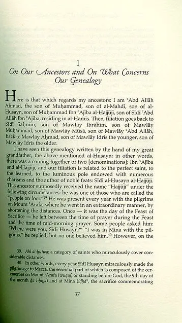 The Autobiography of a Moroccan Soufi - Image 4