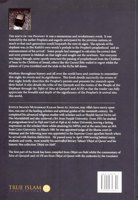The Birth of the Prophet - Image 2