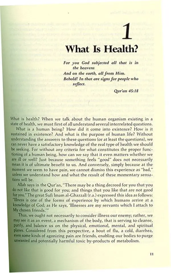 The Book of Sufi Healing (Newly Revised And Updated Edition) - Image 4
