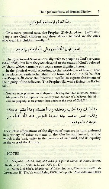 The Dignity of Man - Image 7