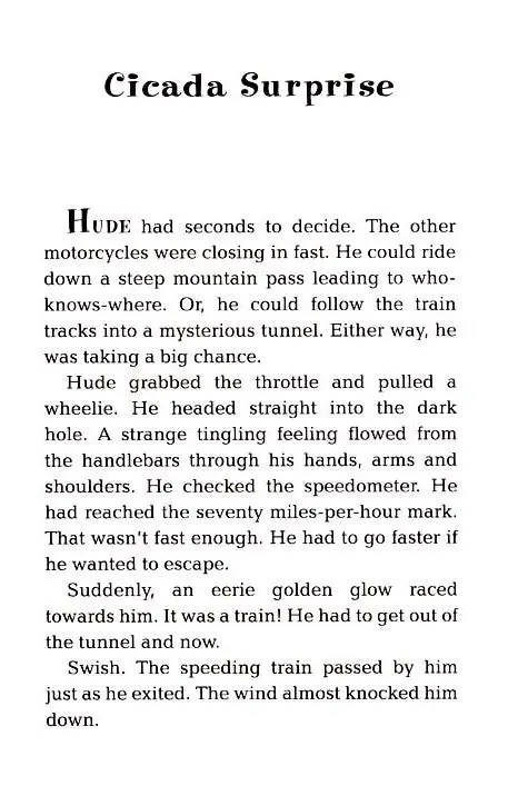 The Great Race to Sycamore Street - Image 3