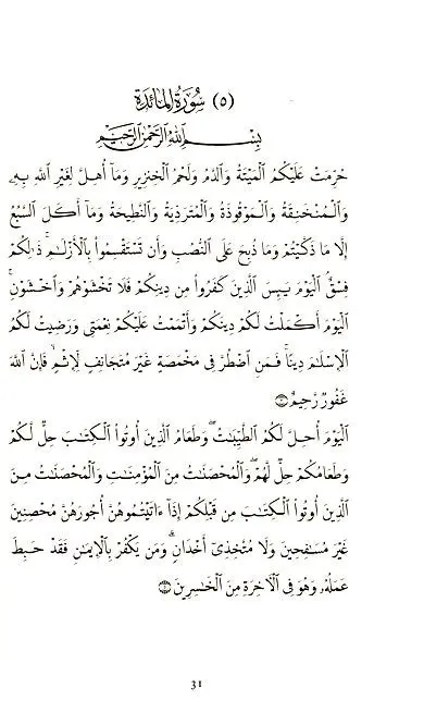 The Holy Qur'an: Translations of Selected Verses - Image 10