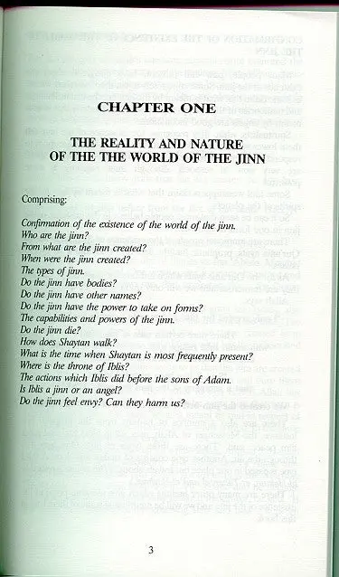 The Jinn In The Qur'an and The Sunna - Image 3