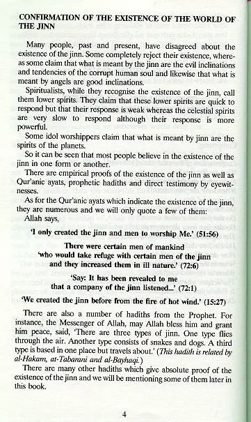 The Jinn In The Qur'an and The Sunna - Image 4