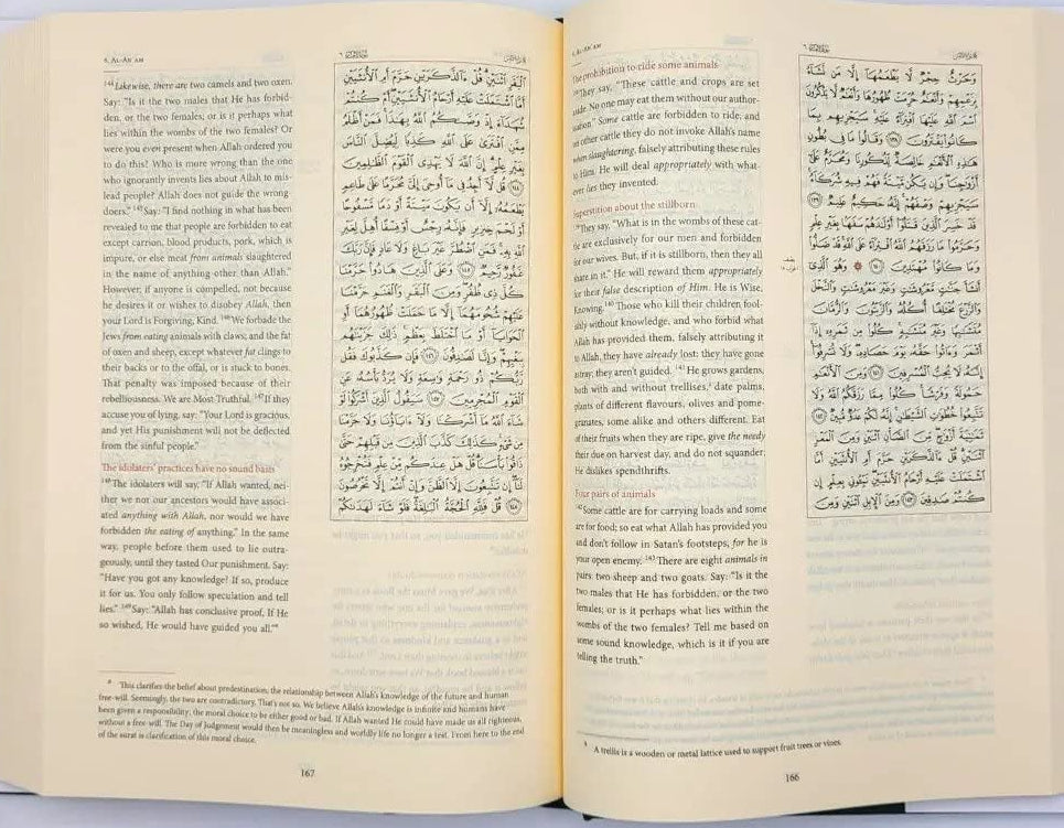 The Majestic Qur'an: A Plain English Translation (Uthmani Script) - Image 2
