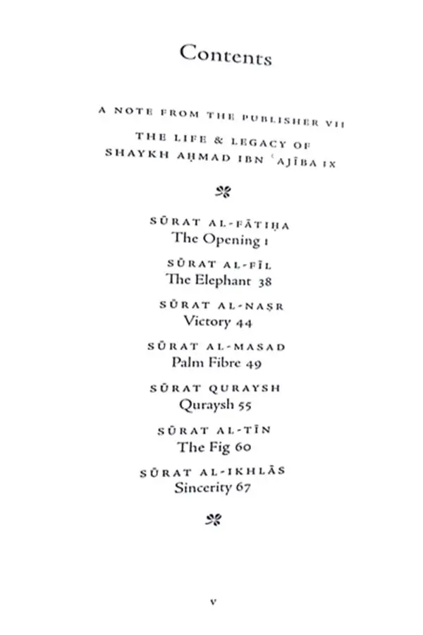 The Opening and Other Meccan Revelations : Selections from al-Bahar al-Madid - Image 3