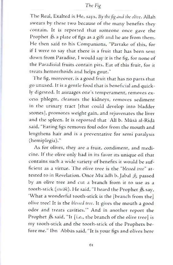 The Opening and Other Meccan Revelations : Selections from al-Bahar al-Madid - Image 7