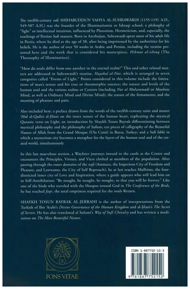 The Shape of Light: Hayakal al-Nur - Image 4