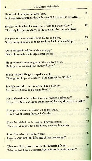 The Speech of the Birds: Mantiqu’t-Tair - Image 5